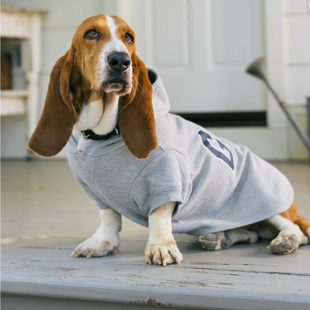 GAP Light Gray Hooded Pullover for DOG 🐶 - Picture 10 of 10
